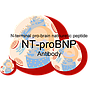 Mouse anti-human Nt-ProBNP monoclonal antibody